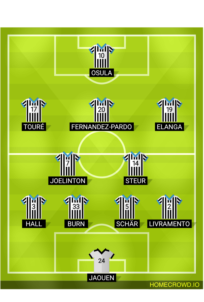 Football formation lineup Newcastle United
