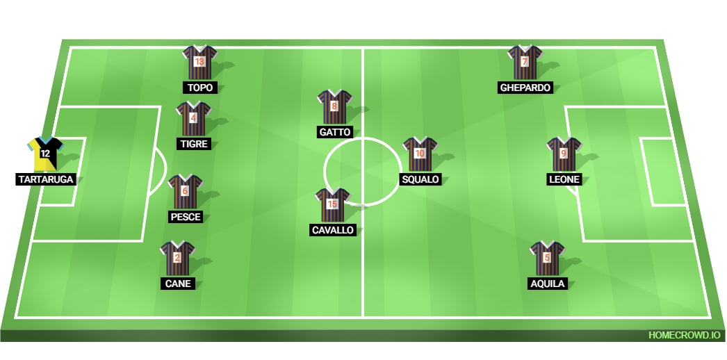 Football formation lineup animali  4-2-1-3